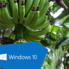 Windows 10 -Bananensoftware reift beim Kunden