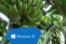Windows 10 -Bananensoftware reift beim Kunden