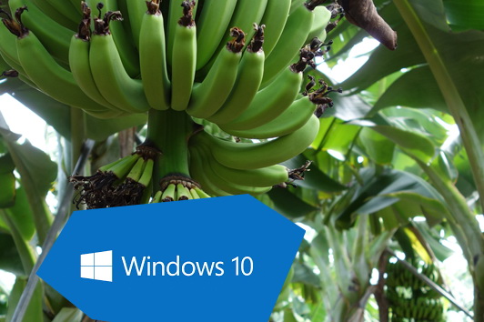 Windows 10 -Bananensoftware reift beim Kunden