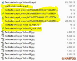 Magixdateien zwischen den eigentlichen Bild/Video Dateien