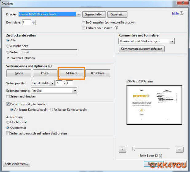 PDF Druck -Einstellung Druckmenü Acrobat Reader