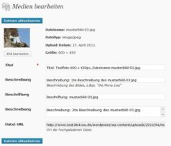 WordPress Mediathek -Bild bearbeiten